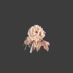 ΛΟΥΛΟΥΔΙ ΙΒΟΥΑΡ FLL10368