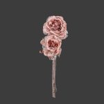 ΛΟΥΛΟΥΔΙΑ ΡΟΖ FLR50598